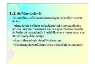 1.2 สัตว์ทีมีกระด ูกสันหลัง
 -เป็ นสัตว์ชนสูงมีเนือเยือของร่างกายเจริญเป็ นอวัยวะทีมีการทํางาน
             ั-       -
 ซับซ้อน
  -มีแกนสันหลัง ซึงเป็ นโครงสร้างทีค่อนข้างแข็ง มีลกษณะเป็ นท่อน
                                                    ั
 ยาวขนานกับความยาวของลําตัว จะเป็ นกระดูกสันหลังก็ตอเมือโตเต็ม
                                                         ่
 วัย จึงเรียกว่า กระดูกสันหลัง ทําหน้าทีเป็ นแกนกลางของร่างกาย ช่วย
 ให้ร่างกายคงรูปทีแน่นอนอยูได้่
 -ส่วนมากมีขนาดใหญ่อาศัยอยูทงในนําและบนบก
                                  ่ ั- -
  -สัตว์มกระดูกสันหลังทีมีวิวฒนาการสูงกว่าสัตว์ไม่มกระดูกสันหลัง
           ี                    ั                     ี
 