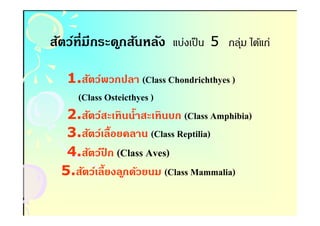 สัตว์ทีมีกระด ูกสันหลัง แบ่งเป็ น 5 กลุม ได้แก่
                                      ่

   1.สัตว์พวกปลา (Class Chondrichthyes )
    (Class Osteicthyes )
   2.สัตว์สะเทินนํ(าสะเทินบก (Class Amphibia)
   3.สัตว์เลื(อยคลาน (Class Reptilia)
   4.สัตว์ปก (Class Aves)
             ี
  5.สัตว์เลี(ยงล ูกด้วยนม (Class Mammalia)
 