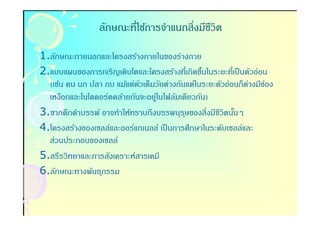 ลักษณะทีใช้การจําแนกสิงมีชวิต
                                           ี

1.ลักษณะภายนอกและโครงสร้างภายในของร่างกาย
2.แบบแผนของการเจริญเติบโตและโครงสร้างทีเกิดขึนในระยะทีเป็ นตัวอ่อน
                                                -
  (เช่น คน นก ปลา กบ แม้แต่ตวเต็มวัยต่างกันแต่ในระยะตัวอ่อนก็ตางมีชอง
                            ั                                 ่    ่
  เหงือกและโนโตคอร์ดคล้ายกันจะอยูในไฟลัมเดียวกัน)
                                 ่
3.ซากดึกดําบรรพ์ อาจทําให้ทราบถึงบรรพบุรษของสิงมีชีวิตนันๆ
                                           ุ              -
4.โครงสร้างของเซลล์และออร์แกเนลล์ เป็ นการศึกษาในระดับเซลล์และ
  ส่วนประกอบของเซลล์
5.สรีรวิทยาและการสังเคราะห์สารเคมี
6.ลักษณะทางพันธุกรรม
 