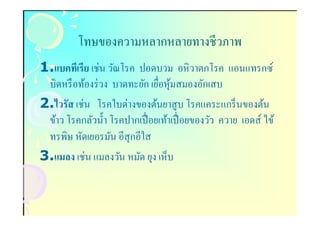โทษของความหลากหลายทางชีวภาพ
1.แบคทีเรีย เช่น วัณโรค ปอดบวม อหิ วาตกโรค แอนแทรกซ์
 บิดหรื อท้องร่ วง บาดทะยัก เยือหุมสมองอักเสบ
                                  ้
2.ไวรัส เช่น โรคใบด่างของต้นยาสู บ โรคแคระแกร็ นของต้น
  ไวรั
 ข้าว โรคกลัวนํา โรคปากเปื อยเท้าเปื อยของวัว ควาย เอดส์ ไข้
 ทรพิษ หัดเยอรมัน อีสุกอีใส
3.แมลง เช่น แมลงวัน หมัด ยุง เห็บ
 