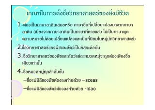 เกณฑ์ในการตังชือวิทยาศาสตร์ของสิงมีชวิต
                -                       ี
1.ต้องเป็ นภาษาลาตินเสมอหรือ ภาษาอืนทีเปลียนแปลงมาจากภาษา
  ลาติน (เนืองจากภาษาลาตินเป็ นภาษาทีตายแล้ว ไม่เป็ นภาษาพูด
  ความหมายไม่คอยเปลียนแปลงและเป็ นทีนิยมในหมูนกวิทยาศาสตร์)
                   ่                             ่ ั
2.ชือวิทยาศาสตร์ของพืชและสัตว์เป็ นอิสระต่อกัน
3.ชือวิทยาศาสตร์ของพืชและสัตว์แต่ละหมวดหมูจะถูกต้องเพียงชือ
                                               ่
  เดียวเท่านัน
             -
4.ชือหมวดหมูทกลําดับขัน
               ่ ุ      -
   –ชือแฟมิลีของพืชต้องลงท้ายด้วย –sceas
   –ชือแฟมิลีของสัตว์ตองลงท้ายด้วย -idao
                      ้
 