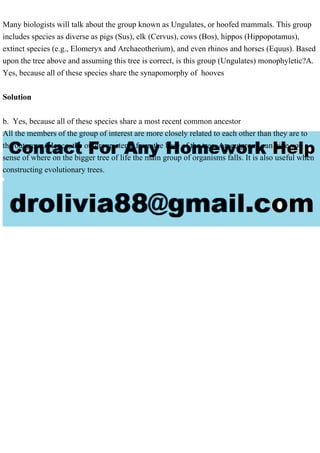 Many biologists will talk about the group known as Ungulates, or hoofed mammals. This group
includes species as diverse as pigs (Sus), elk (Cervus), cows (Bos), hippos (Hippopotamus),
extinct species (e.g., Elomeryx and Archaeotherium), and even rhinos and horses (Equus). Based
upon the tree above and assuming this tree is correct, is this group (Ungulates) monophyletic?A.
Yes, because all of these species share the synapomorphy of hooves
Solution
b. Yes, because all of these species share a most recent common ancestor
All the members of the group of interest are more closely related to each other than they are to
the outgroup. Hence, the outgroup stems from the base of the tree. An outgroup can give you a
sense of where on the bigger tree of life the main group of organisms falls. It is also useful when
constructing evolutionary trees.
 