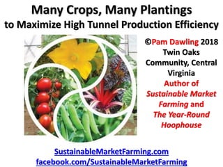 Many Crops, Many Plantings
to Maximize High Tunnel Production Efficiency
SustainableMarketFarming.com
facebook.com/SustainableMarketFarming
©Pam Dawling 2018
Twin Oaks
Community, Central
Virginia
Author of
Sustainable Market
Farming and
The Year-Round
Hoophouse
 