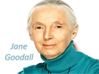 Jane Goodall 