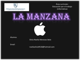 Área curricular:
                                       Educación por el trabajo
                                            (informática)




Alumna:
          Silvia Noelia Meneses Bolo

Email:
          noeliasilvia9518@hotmail.com
 