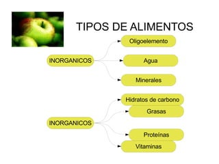 TIPOS DE ALIMENTOS INORGANICOS Oligoelemento Minerales Agua INORGANICOS Vitaminas Proteínas Grasas Hidratos de carbono 