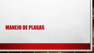 MANEJO DE PLAGAS
 