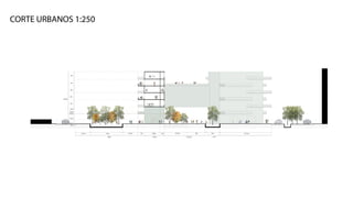 BT Ensamblar
la Manzana
Por medio del corte logramos plantear las distintas actividades que se llevan
acabo en la distintas zonas de espacio libre mostrando la diversidad del pro-
yecto. Esto se logra al culificar el espacio con los distintos manejos de la ve-
getación, el mobiliario exterior (bancas, parque) los espacios de permanen-
Corte Urbano 1:250
JULIANA SALGAR /SOFÍA HERNÁNDEZ DE ALBA
202123646 / 202122685
De la Forma de la Arquitectura a la Forma de la Ciudad
CORTE URBANOS 1:250
 