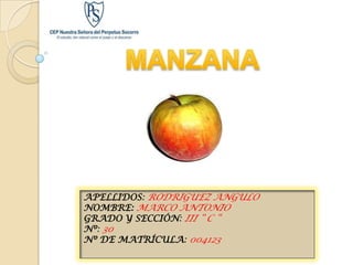 Manzana