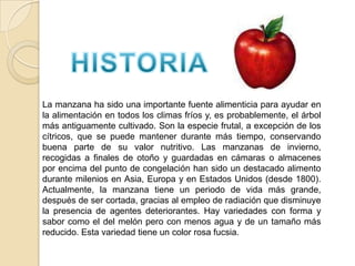 Manzana