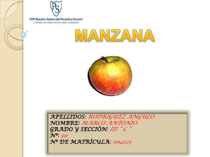 manzana insurance Case: manzana insurance – fruitvale branch (abridged) harvard business school executive summary fruitvale’s core management problem is the low performance due to an unacceptable long turnaround times (tat). manzana insurance Case: manzana insurance – fruitvale branch (abridged) harvard business school executive summary fruitvale’s core management problem is the low performance due to an unacceptable long turnaround times (tat).