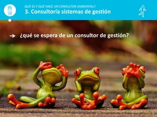 ¿qué se espera de un consultor de gestión?
QUÉ ES Y QUÉ HACE UN CONSULTOR AMBIENTAL?
3. Consultoría sistemas de gestión
 