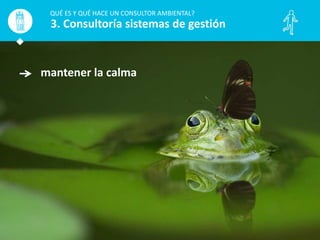 mantener la calma
QUÉ ES Y QUÉ HACE UN CONSULTOR AMBIENTAL?
3. Consultoría sistemas de gestión
 