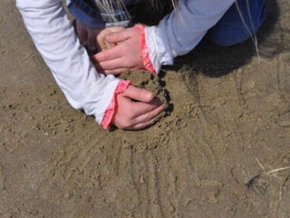 Manzanita Beach Ppt2007 W Mp3