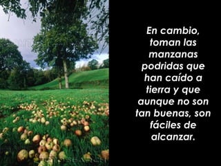 En cambio,
    toman las
    manzanas
  podridas que
  han caído a
   tierra y que
 aunque no son
tan buenas, son
    fáci...