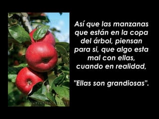 Así que las manzanas
que están en la copa
 del árbol, piensan
para si, que algo esta
    mal con ellas,
cuando en realidad...
