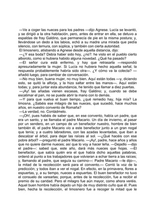 —Ve a coger las nueces para los padres —dijo Agnese. Lucía se levantó,
y se dirigió a la otra habitación, pero, antes de entrar en ella, se detuvo a
espaldas de fray Galdino, que permanecía de pie en la misma postura; y,
llevándose un dedo a los labios, echó a su madre una mirada que pedía
silencio, con ternura, con súplica, y también con cierta autoridad.
 El limosnero, atisbando a Agnese desde aquella distancia, dijo:
 —¿Y esa boda? Debía haber sido hoy, ¿no?: he visto en el pueblo cierto
alboroto, como si hubiera habido alguna novedad. ¿Qué ha pasado?
 —El señor cura está enfermo, y hay que retrasarla —respondió
apresuradamente la mujer. Si Lucía no hubiera hecho aquella señal, la
respuesta probablemente habría sido otra—. ¿Y cómo va la colecta? —
añadió luego, para cambiar de conversación.
 —No muy bien, buena mujer, no muy bien. Aquí están todas —y, diciendo
esto, se quitó la alforja, y la hizo saltar entre las manos—. Aquí están
todas; y, para juntar esta abundancia, he tenido que llamar a diez puertas.
 —¡Ay! las añadas vienen escasas, fray Galdino; y, cuando se debe
escatimar el pan, no se puede abrir la mano con lo demás.
 —Y para que vuelva el buen tiempo, ¿qué remedio hay, hija mía? La
limosna. ¿Sabéis ese milagro de las nueces, que sucedió, hace muchos
años, en nuestro convento de Romaña?
 —La verdad, no. Contádmelo.
 —¡Oh!, pues habéis de saber que, en ese convento, había un padre, que
era un santo, y se llamaba el padre Macario. Un día de invierno, al pasar
por un sendero, en un campo de un benefactor nuestro, hombre de bien
también él, el padre Macario vio a este benefactor junto a un gran nogal
que tenía; y a cuatro labradores, con las azadas levantadas, que iban a
descalzar el árbol, para dejar las raíces al sol. —¿Qué hacéis con ese
pobre árbol? —preguntó el padre Macario. —¡Ay!, padre, hace años y años
que no quiere darme nueces; así que lo voy a hacer leña. —Dejadlo —dijo
el padre—: sabed que, este año, dará más nueces que hojas. —El
benefactor, que sabía quién era el que había dicho aquellas palabras,
ordenó al punto a los trabajadores que volvieran a echar tierra a las raíces;
y, llamando al padre, que seguía su camino—: Padre Macario —le dijo—,
la mitad de la recolección será para el convento.— Corrió la voz de la
predicción; y todos iban a ver el nogal. En efecto, en la primavera, flores a
espuertas, y, a su tiempo, nueces a espuertas. El buen benefactor no tuvo
el consuelo de varearlas; porque, antes de la recolección, fue a recibir el
premio de su caridad. Pero el milagro fue aún mayor, como ahora veréis.
Aquel buen hombre había dejado un hijo de muy distinto cuño que él. Pues
bien, hecha la recolección, el limosnero fue a recoger la mitad que le
 