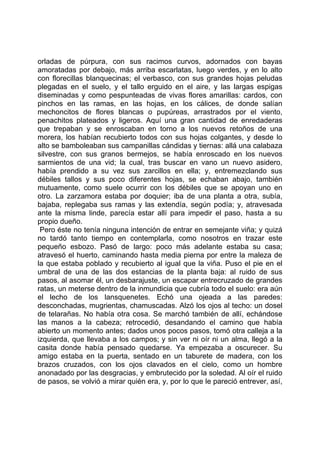   Manzoni alessandro - lo - lecoca