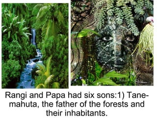 Rangi and Papa had six sons:1) Tane-mahuta, the father of the forests and their inhabitants. 