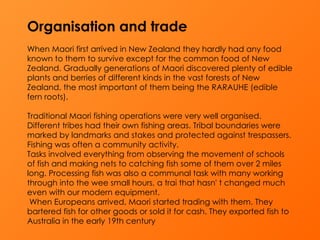 Organisation and trade   When Maori first arrived in New Zealand they hardly had any food known to them to survive except for the common food of New Zealand. Gradually generations of Maori discovered plenty of edible plants and berries of different kinds in the vast forests of New Zealand, the most important of them being the RARAUHE (edible fern roots).  Traditional Maori fishing operations were very well organised. Different tribes had their own fishing areas. Tribal boundaries were marked by landmarks and stakes and protected against trespassers. Fishing was often a community activity.  Tasks involved everything from observing the movement of schools of fish and making nets to catching fish some of them over 2 miles long. Processing fish was also a communal task with many working through into the wee small hours, a trai that hasn' t changed much even with our modern equipment.   When Europeans arrived, Maori started trading with them. They bartered fish for other goods or sold it for cash. They exported fish to Australia in the early 19th century 