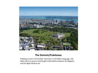 The Domain/Pukekawa.
Pukekawa means 'hill of bitter memories' in the Māori language, and
likely refers to various hard-fought tribal battles between the Ngapuhi
and the Ngati Whatua iwi.
 