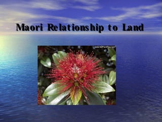 Maori   Relationship to Land 