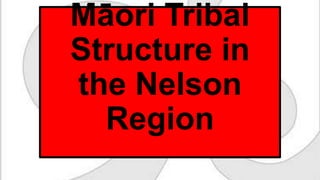 Māori Tribal
Structure in
the Nelson
Region
 