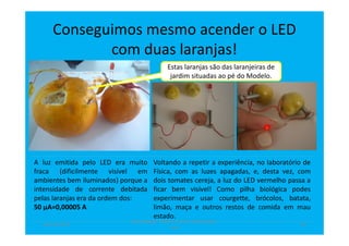Conseguimos mesmo acender o LED
com duas laranjas!
A luz emitida pelo LED era muito
fraca (dificilmente visível em
ambientes bem iluminados) porque a
intensidade de corrente debitada
pelas laranjas era da ordem dos:
50 µA=0,00005 A
Voltando a repetir a experiência, no laboratório de
Física, com as luzes apagadas, e, desta vez, com
dois tomates cereja, a luz do LED vermelho passa a
ficar bem visível! Como pilha biológica podes
experimentar usar courgette, brócolos, batata,
limão, maça e outros restos de comida em mau
estado.
Estas laranjas são das laranjeiras de
jardim situadas ao pé do Modelo.
abril de 2014
Rosa Brígida - Mãos na micro eletricidade,
cont
14
 