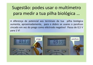 Sugestão: podes usar o multímetro
para medir a tua pilha biológica …
A diferença de potencial aos terminais da tua pilha biológica
aumenta, aproximadamente, para o dobro se usares o parafuso
zincado em vez do prego como eléctrodo negativo! Passa de 0,5 V
para 1 V!
prego parafuso
 