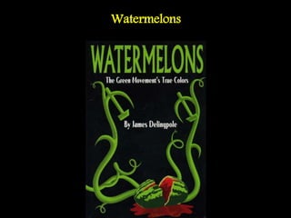 Watermelons
 