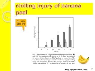 37 
O2: 12% 
CO2: 4% 
Thuy Nguyena et al., 2004 
 