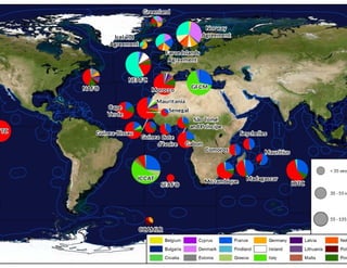 Greater transparency to fight IUU fishing
