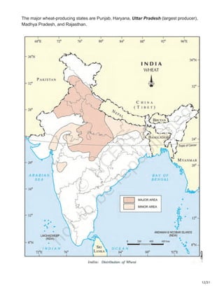 12/31
The major wheat-producing states are Punjab, Haryana, Uttar Pradesh (largest producer),
Madhya Pradesh, and Rajasthan.
 