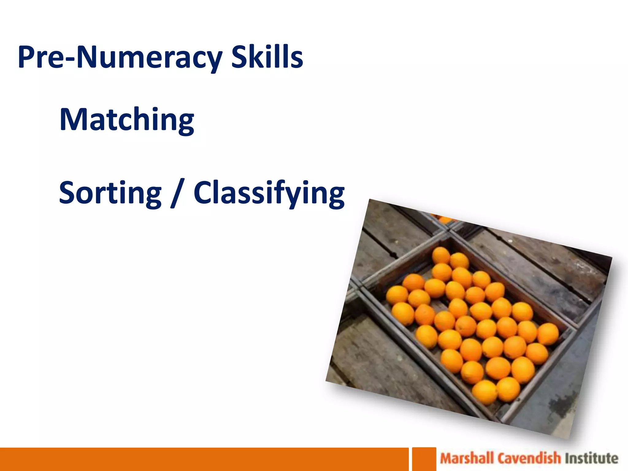 Pre-Numeracy Skills
  Matching

  Sorting / Classifying
 