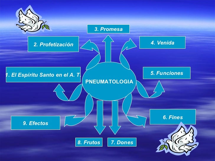 MAPA CONCEPTUAL