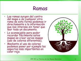 Ramas ,[object Object],[object Object],[object Object]