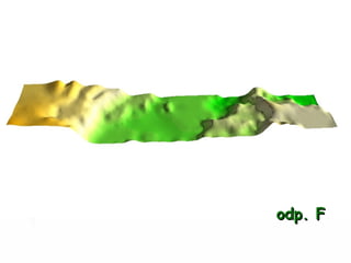odp. F 