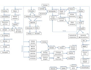 Son
Actúan como
Aceleran
Dentro de
Permanece
Ya que se pueden
Sin gastar
En su
Formaciónpor
Así que la
De una
Define sus
En
Intervienenen
De
De
Formadas por
Se unenpor
Tienen
Se liberanen
Se activancon
Son
En
Pueden
Sus
Por
Ej.
Producidos por
Rompe
Producidaspor
Actúa sobre Sobre
Que unen
Actúan sobre
De Forman
Contienen
Producida por
Almacenada en
Desemboca en
Funciona como
Rompe en
PuedanactuarProducidas por
Enzimas
Digestivo
Proteínas
Catalizadores
Reacciones
químicas
Célula/s
Sin cambios
Reciclar
Energía
Formación
Genes
Historia
evolutiva
Especie
Tipo Recursos
del medio
Animales
Herbívoros Carnívoros
Digestión
Estructuras
AnimalesPlantas
Partes
Aminoácidos
Enlace
Peptídico
Cantidad
Secuencia
Solubles
Agua
Perder
Cualidades
Aumento de
temperatura
Acción de
agentes químicos
Coenzima/
sustrato
Estado
inactivo
Pepsina
Ácido
clorhídrico
Células
Glandulares
Células
salivales
Mucosa
gástrica
Célulasde
páncreas
Célulasde
la mucosa
Amilasa
Amilasa
pancreática
Enlaces
Azúcares
simples
Almidón
Intestino
delgado
Jugos
intestinales
Proteasas
pancreáticas
Proteasas
Péptido
Bilis
EmulsificanteLipasas
Hígado
Intestino
delgado
Vesícula
biliar
Gotas de
grasa
Páncreas
 