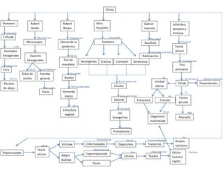 Llamaron
A las
Llenas de
De los
Observo con
En el Limitados por
Llamadas
por
Trabajocon
De la
Descubrió
el
Reconocidocomo
De la
Descubrió
el
En el interior de
Introdujo el término
A las que llamó
Descubrió
el
Después
Cambioa
el
Formuló
Formada por
En donde la
Es
Es
Proviene de otras
De
En un Más
De la
Encontró que
Demostró que
De los Eran resultadode
En
Son Originadas en Produce
Romanos
Célula
Cellulae
Cavidades
hexagonales
Cera
Panales
de abeja
Robert
Hooke
Microscopio
Espacios
hexagonales
Árbol de
corcho
Paredes
gruesas
Poros
Robert
Brown
Células de la
epidermis
Flor de
orquídeas
Núcleo
Elemento
básico
Estructura
vegetal
Félix
Duyardin
Sustancia
Homogénea Elástica Contráctil Gelatinosa
Células
Sacorda
Jan
Evangelista
Protoplasma
Gabriel
Valentín
Nucléolo
Parénquima
Schleiden,
Schawnny
Virchow
Teoría
celular
Tres
principios
Célula
Unidad
básica
Forma
de vida
Preexistentes
Estructura Función
Organismo
multicelular
Pequeña
Repercusiones
Teoría
celular
Virchow Enfermedades Organismos Trastornos
Grupos
celulares
Albert
Kolliker
Espermatozoide
Ovulo
Células Tejidos
Célula
huevoo
cigoto
 