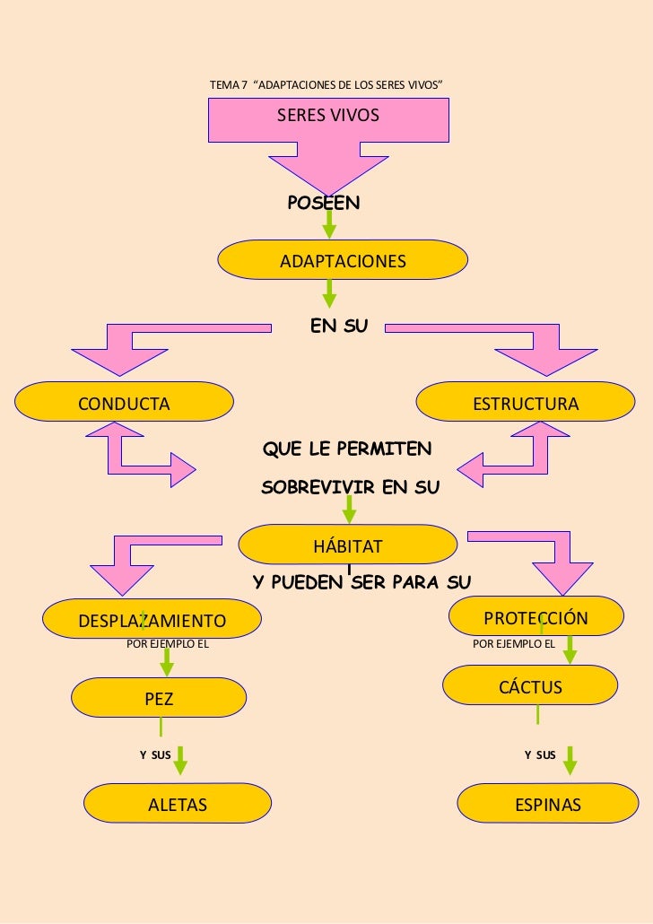 Mapa adaptaciones definitivo