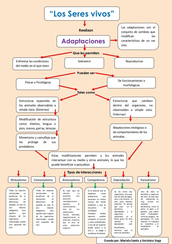 Mapa adaptaciones seres vivos