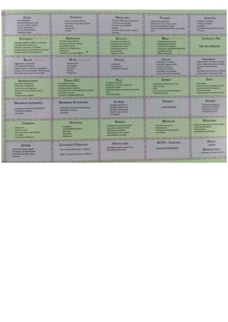 MAPA_AURICULO_SUBDIVIDIDO_POR_AREAS[1].docx