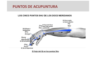 MAPA AURICULOTERAPIA DE A a Z.docx