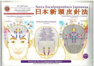 MAPA AURICULOTERAPIA DE A a Z.docx