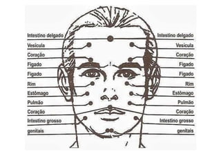 MAPA AURICULOTERAPIA DE A a Z.docx