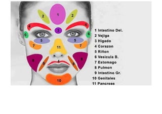 MAPA AURICULOTERAPIA DE A a Z.docx