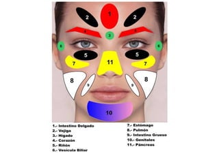 MAPA AURICULOTERAPIA DE A a Z.docx
