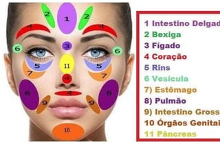 MAPA AURICULOTERAPIA DE A a Z.docx