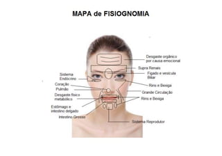 MAPA AURICULOTERAPIA DE A a Z.docx