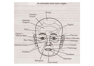 MAPA AURICULOTERAPIA DE A a Z.docx